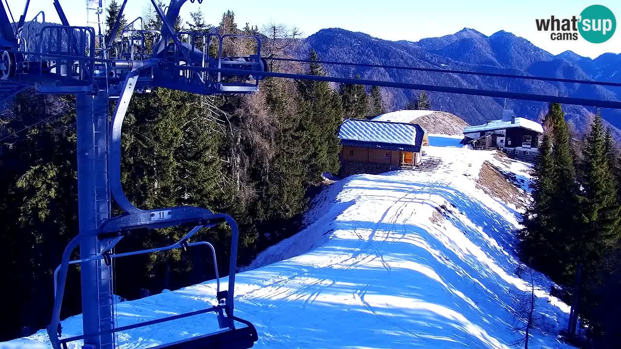 Webcam VITRANC 2 | Kranjska Gora – stazione superiore