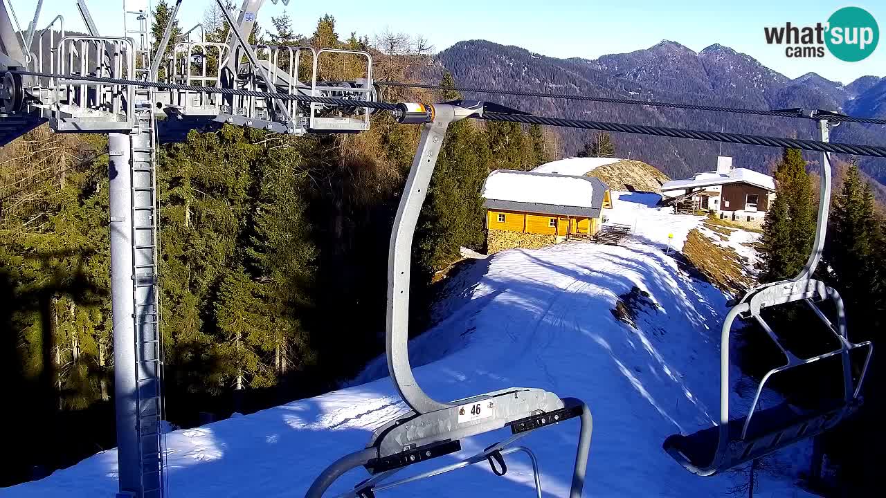 Webcam Kranjska Gora VITRANC 2 | Station supérieure