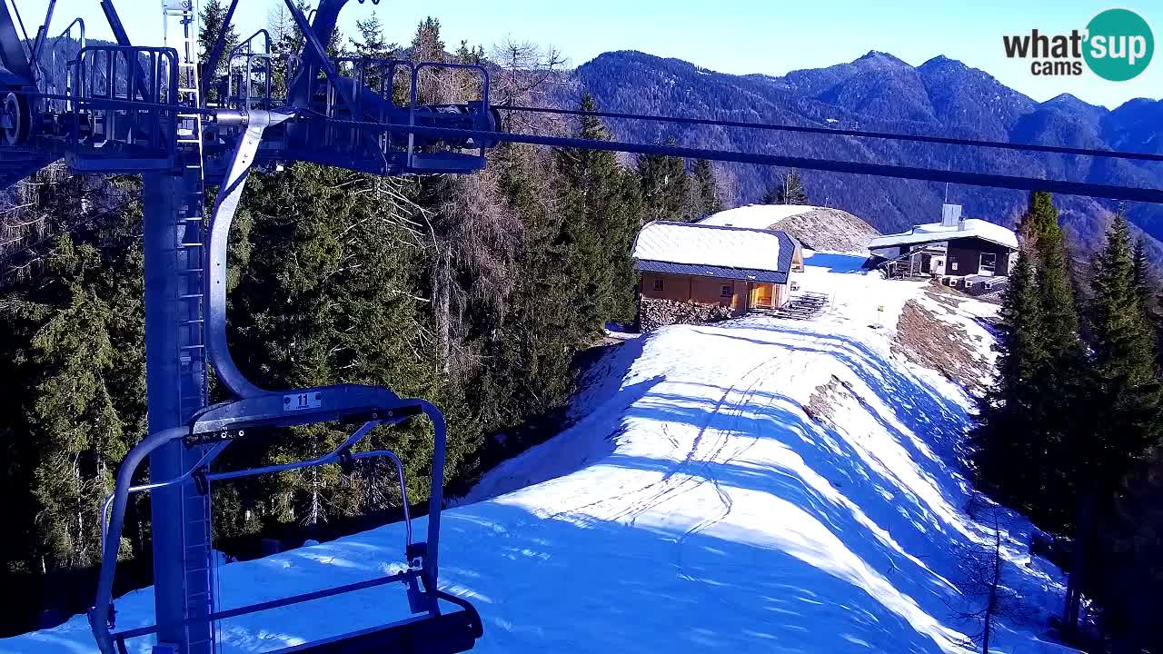 Webcam Kranjska Gora VITRANC 2 | Station supérieure