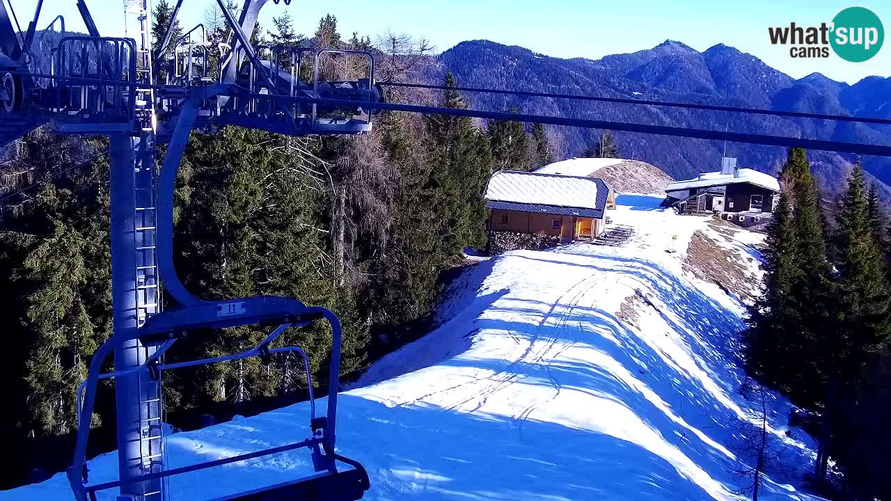 Webcam Kranjska Gora VITRANC 2 | station supérieure