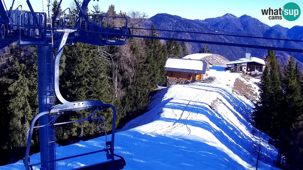 Web kamera Kranjska Gora VITRANC 2 | gornja postaja