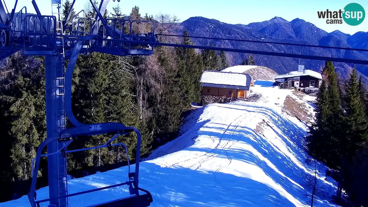 Webcam VITRANC 2 | Kranjska Gora – stazione superiore