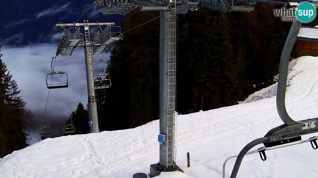 Web kamera Kranjska Gora VITRANC 2 | gornja postaja