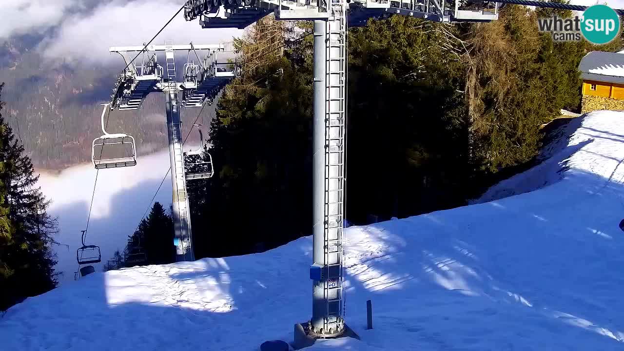 Webcam Kranjska Gora VITRANC 2 | station supérieure