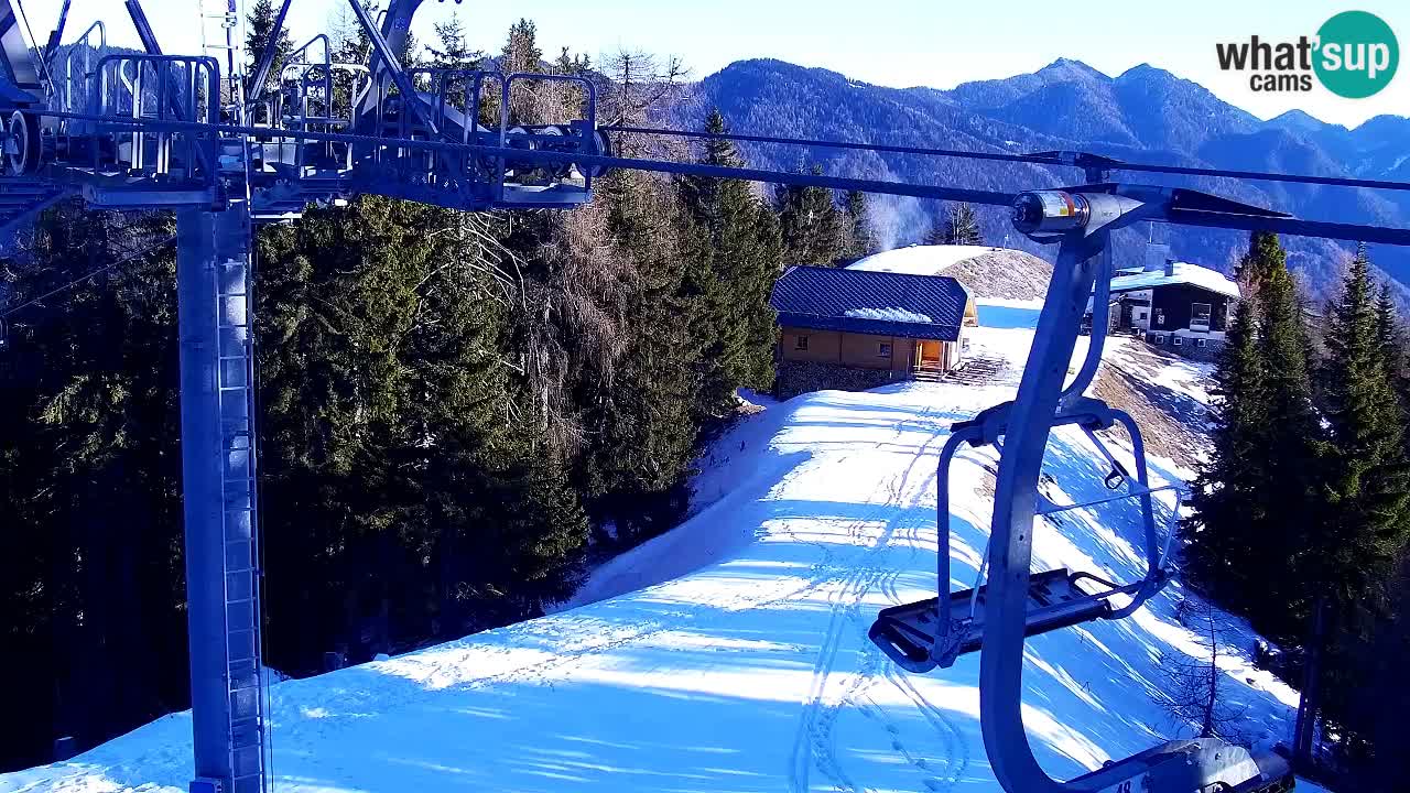 Webcam Kranjska Gora VITRANC 2 | Station supérieure