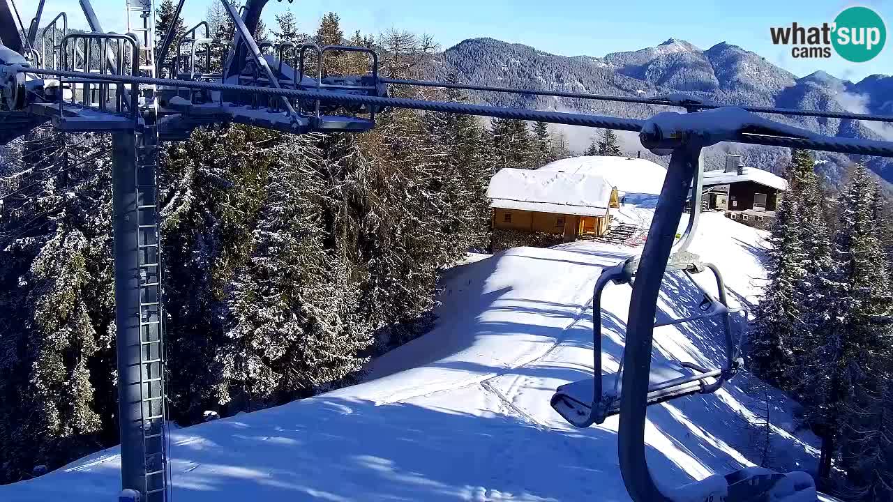 Webcam VITRANC 2 | Kranjska Gora – stazione superiore