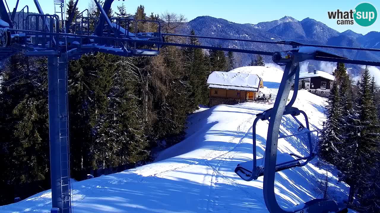 Webcam VITRANC 2 | Kranjska Gora – stazione superiore