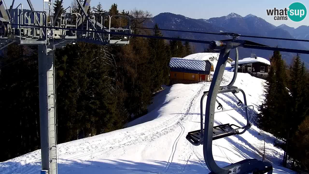 Webcam Kranjska Gora VITRANC 2 | Station supérieure