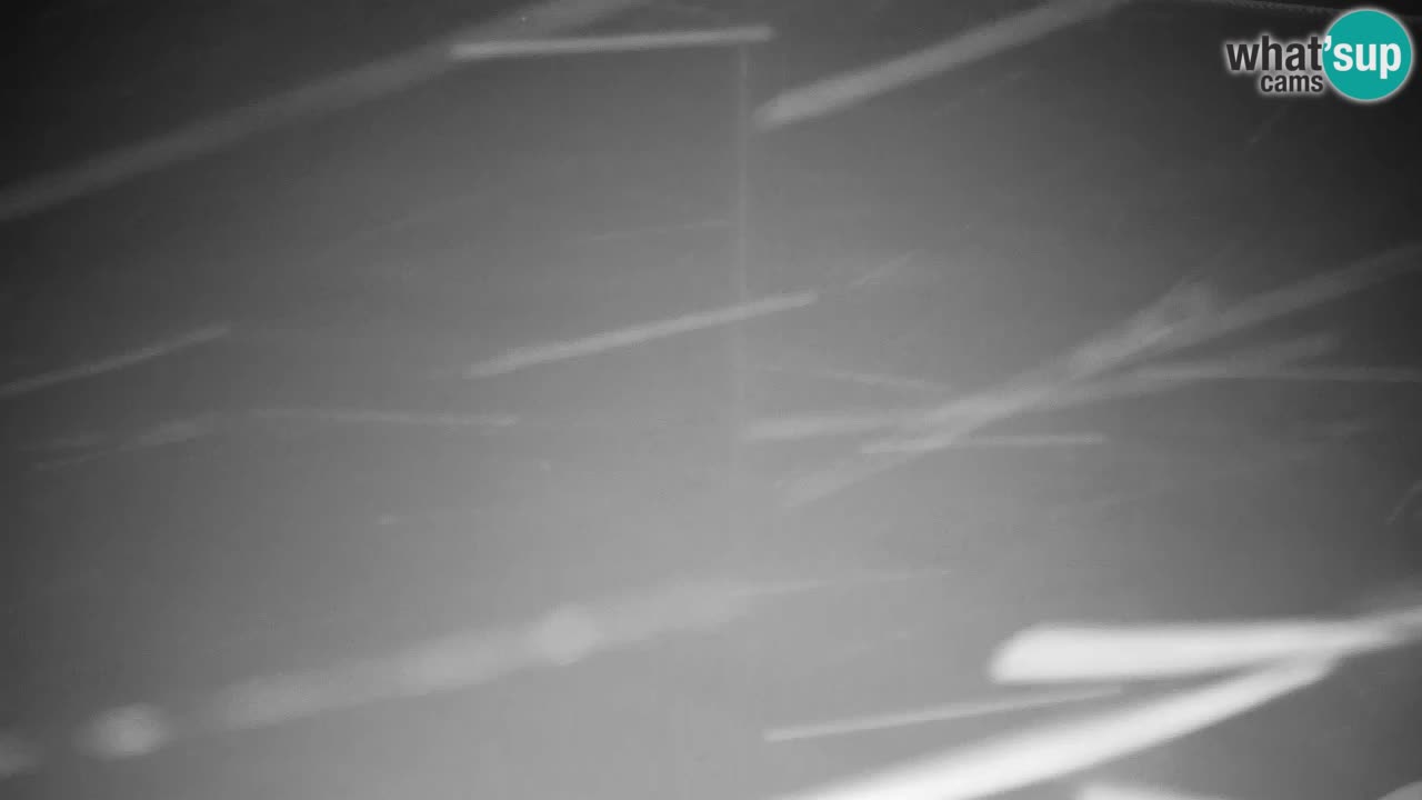 Webcam Kranjska Gora VITRANC 2 | station supérieure