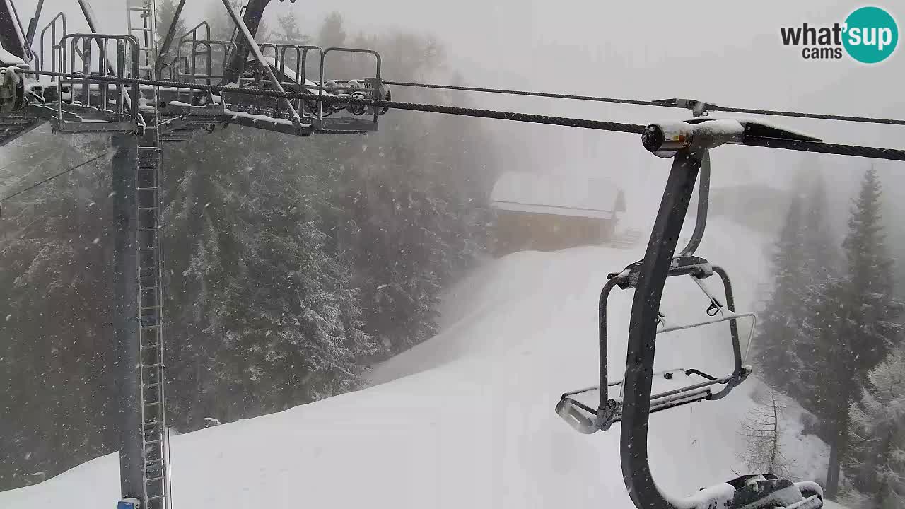 Webcam VITRANC 2 | Kranjska Gora – stazione superiore