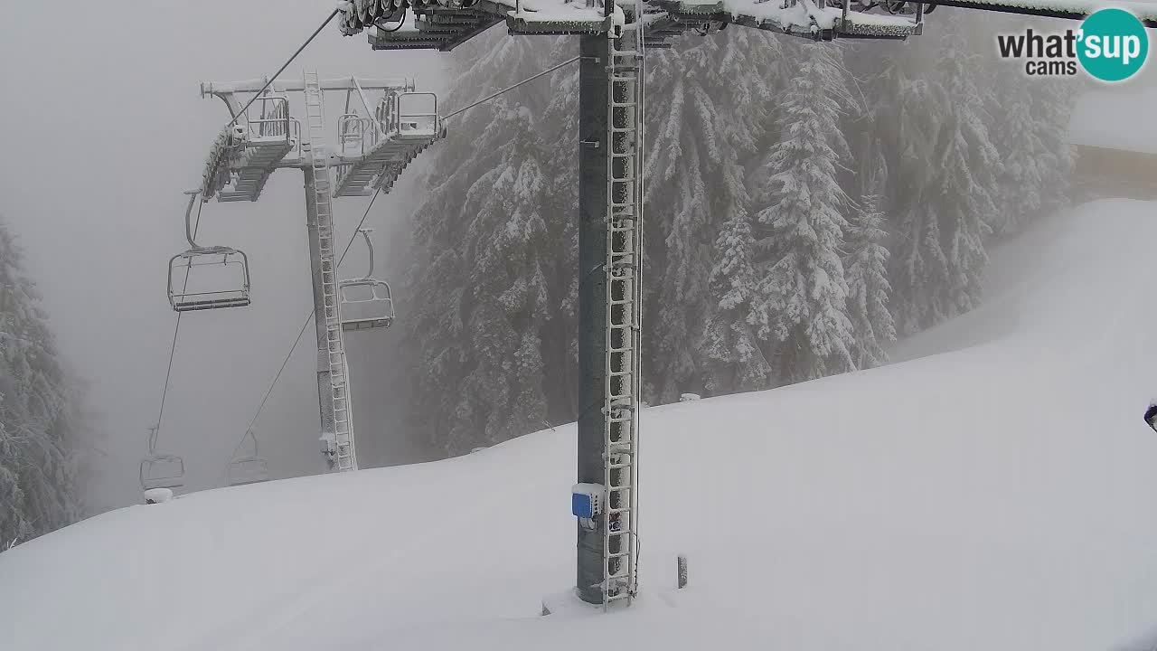 Webcam Kranjska Gora VITRANC 2 | Station supérieure