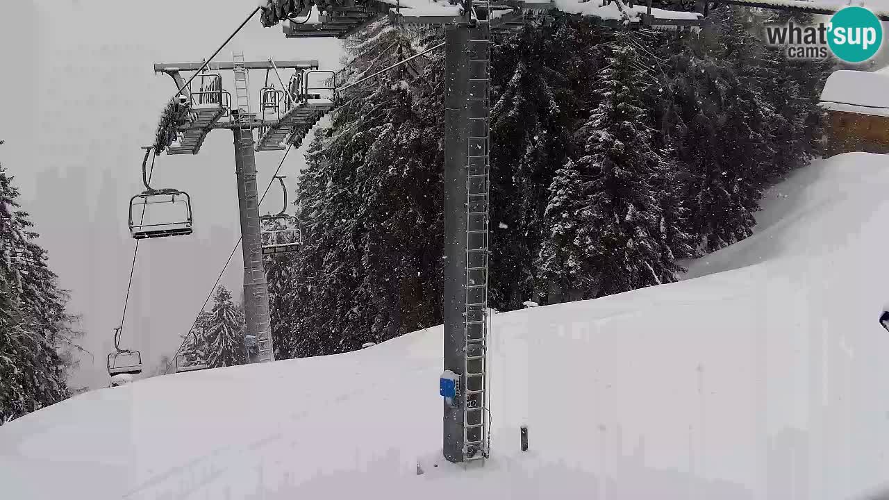 Webcam Kranjska Gora VITRANC 2 | Station supérieure