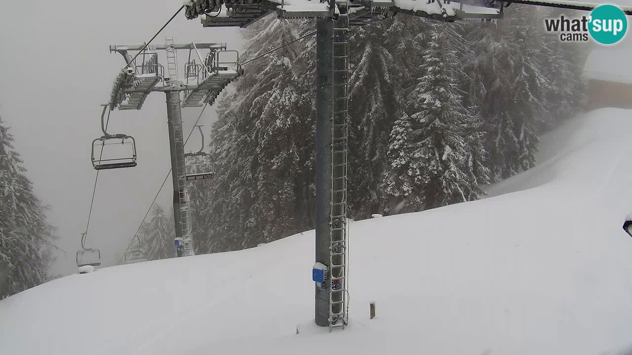 Webcam Kranjska Gora VITRANC 2 | station supérieure
