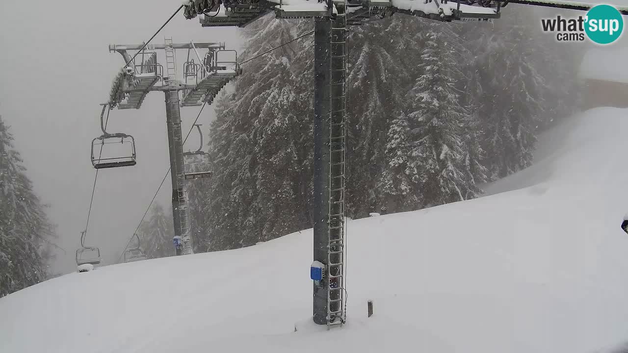 Webcam VITRANC 2 | Kranjska Gora – stazione superiore
