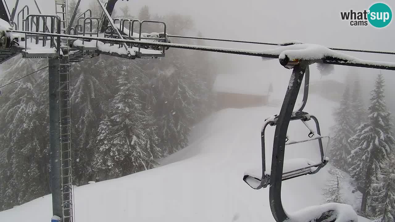 Webcam VITRANC 2 | Kranjska Gora – stazione superiore