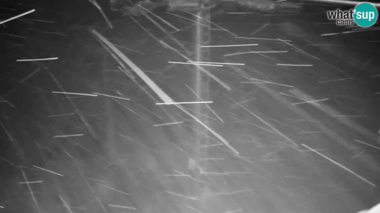 Webcam Kranjska Gora VITRANC 2 | Station supérieure