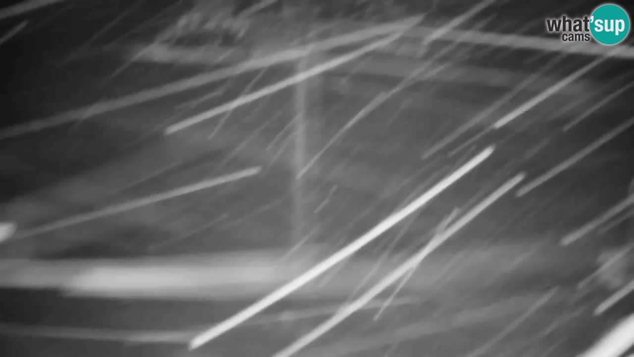 Webcam VITRANC 2 | Kranjska Gora – stazione superiore