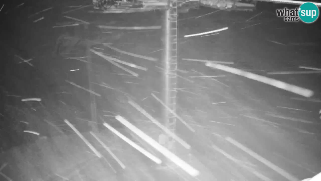 Web kamera Kranjska Gora VITRANC 2 | gornja postaja