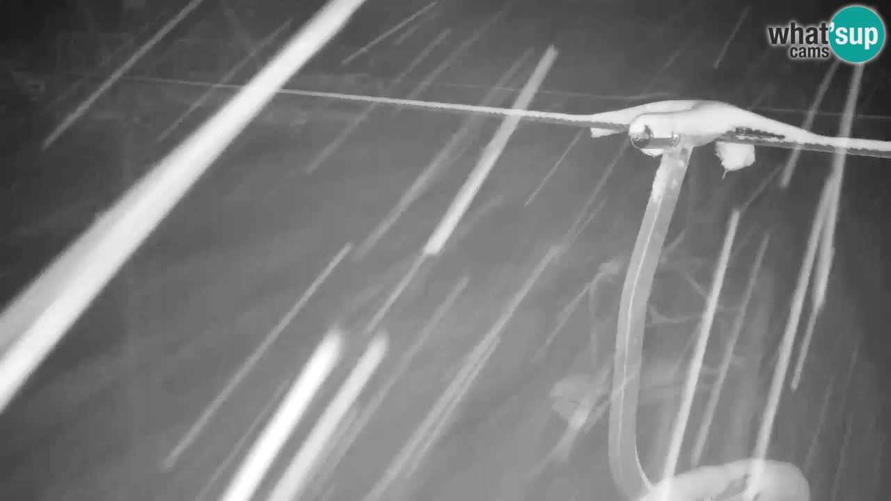 Webcam Kranjska Gora VITRANC 2 upper station