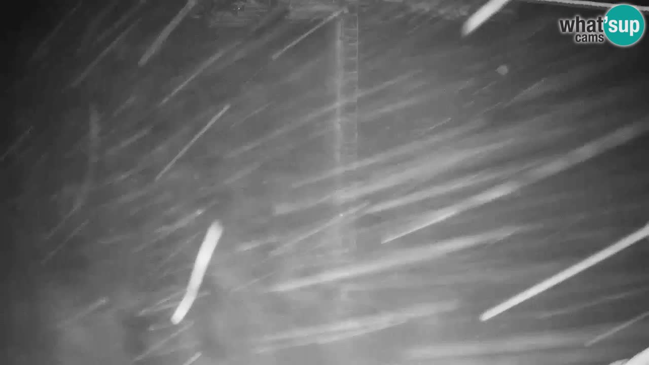 Webcam Kranjska Gora VITRANC 2 upper station