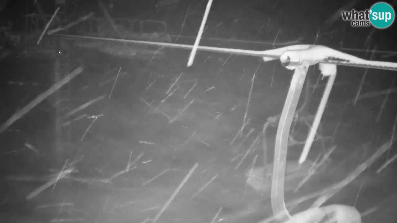 Webcam Kranjska Gora VITRANC 2 | Station supérieure