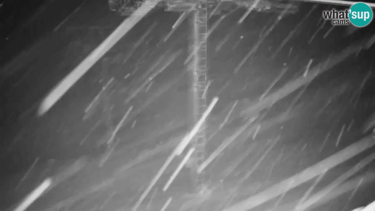 Webcam Kranjska Gora VITRANC 2 upper station