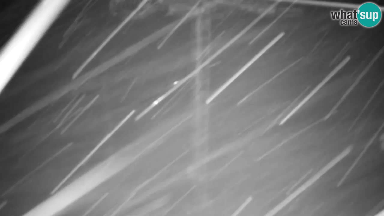 Webcam VITRANC 2 | Kranjska Gora – stazione superiore