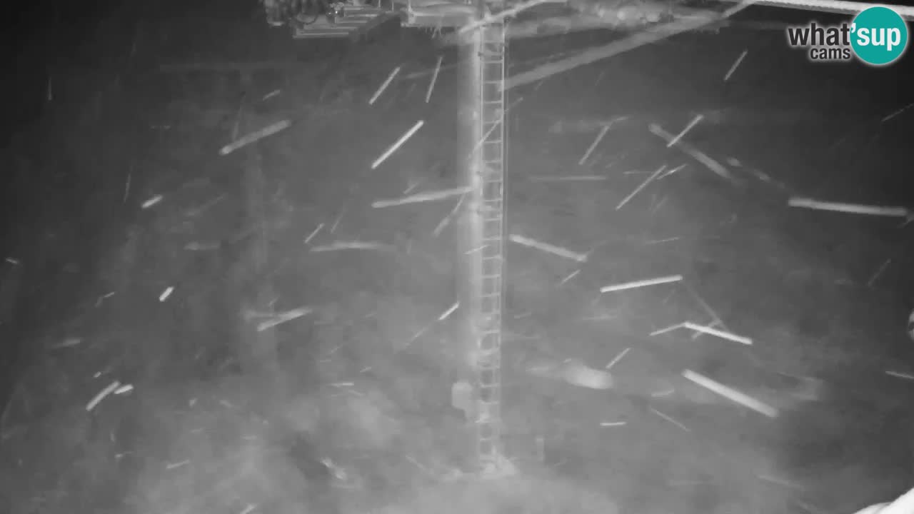 Kranjska Gora webcam VITRANC 2 | Bergstation