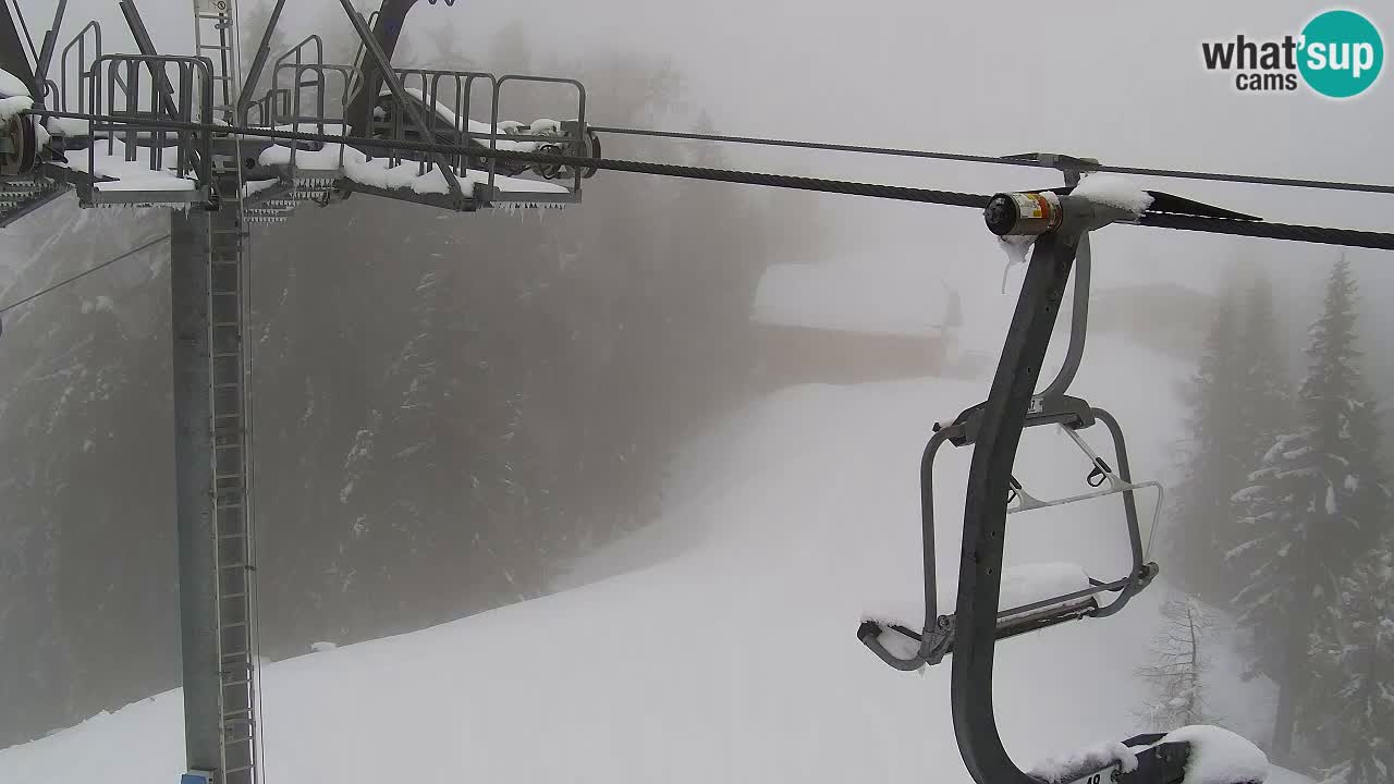 Webcam Kranjska Gora VITRANC 2 | Station supérieure