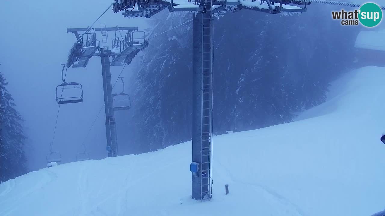 Webcam Kranjska Gora VITRANC 2 | station supérieure