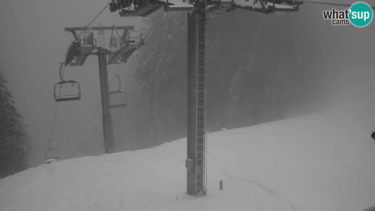 Web kamera Kranjska Gora VITRANC 2 | gornja postaja