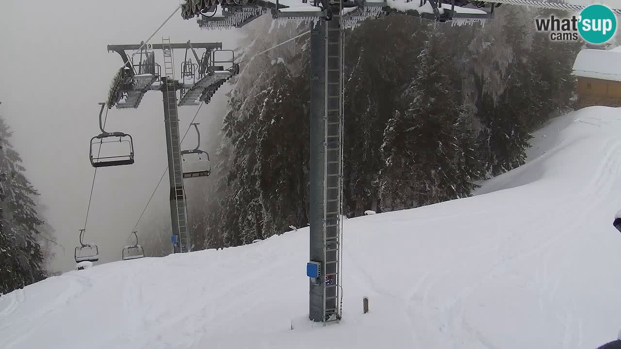 Webcam VITRANC 2 | Kranjska Gora – stazione superiore