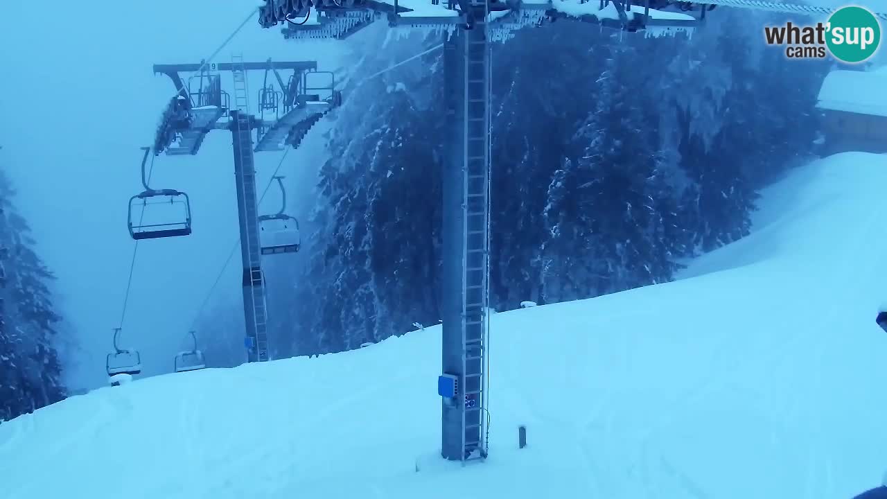 Webcam VITRANC 2 | Kranjska Gora – stazione superiore