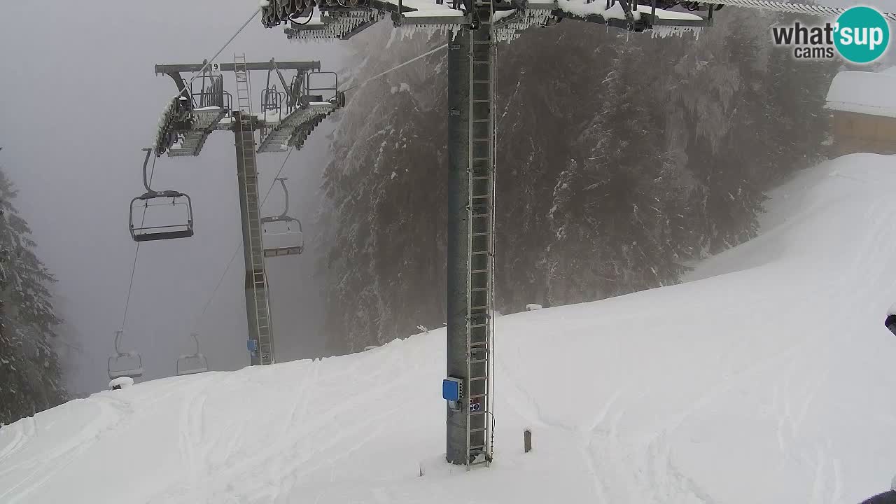 Web kamera Kranjska Gora VITRANC 2 | gornja postaja
