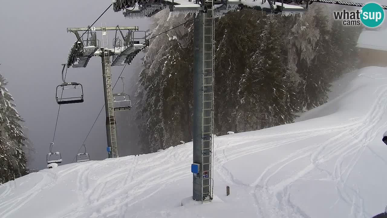 Webcam Kranjska Gora VITRANC 2 | station supérieure