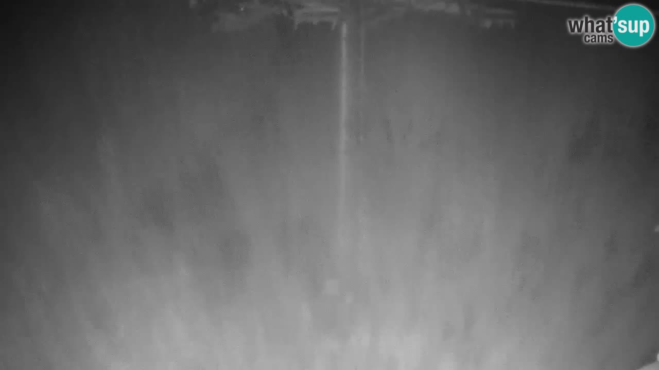 Webcam Kranjska Gora VITRANC 2 upper station