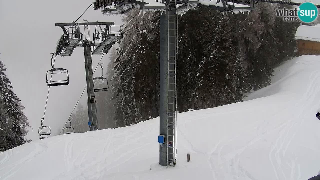 Webcam Kranjska Gora VITRANC 2 | Station supérieure