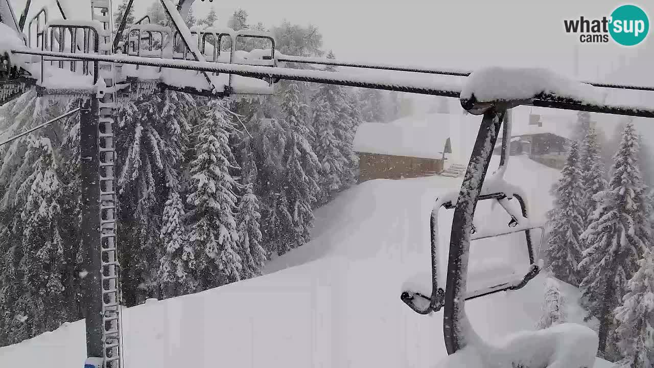 Web kamera Kranjska Gora VITRANC 2 | gornja postaja