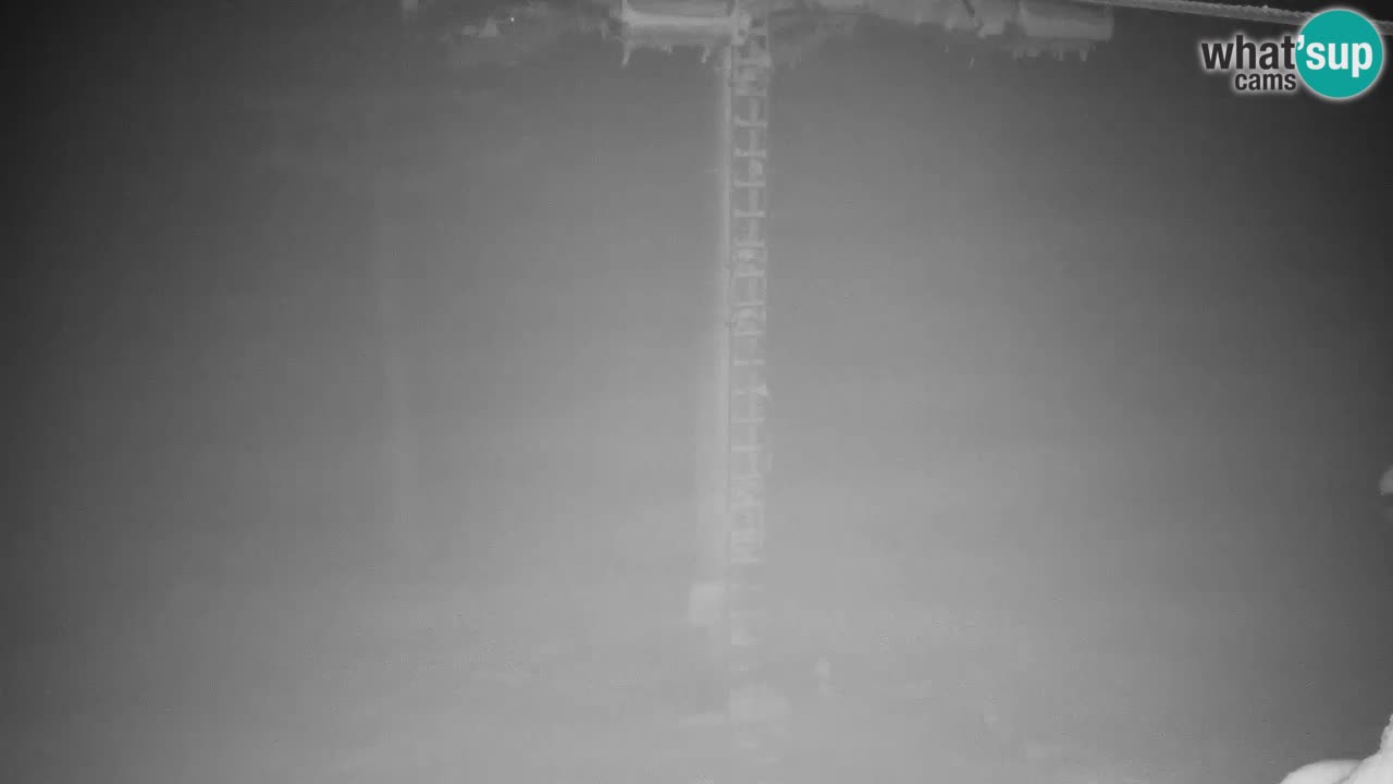 Webcam VITRANC 2 | Kranjska Gora – stazione superiore