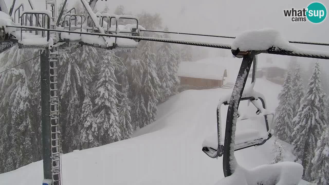 Webcam VITRANC 2 | Kranjska Gora – stazione superiore
