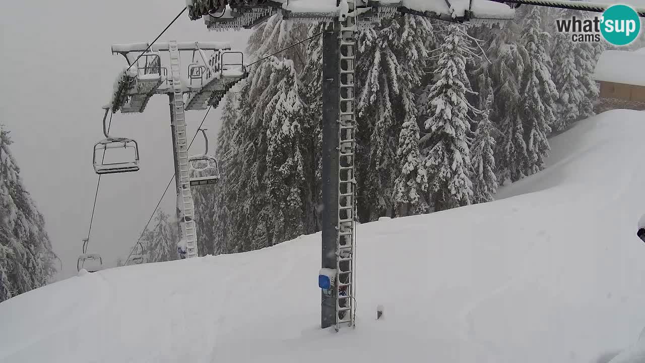 Webcam Kranjska Gora VITRANC 2 | station supérieure