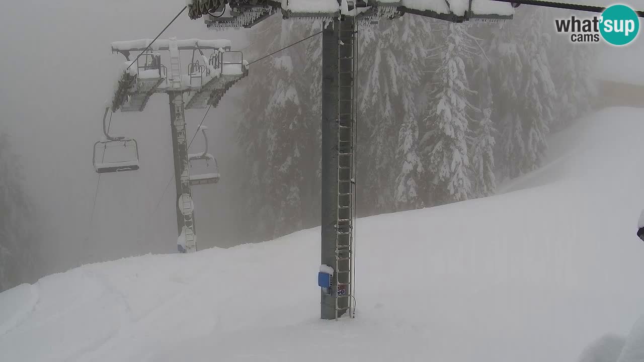Webcam Kranjska Gora VITRANC 2 | Station supérieure