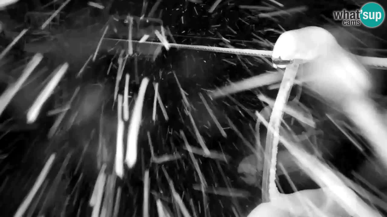 Kranjska Gora webcam VITRANC 2 | Bergstation