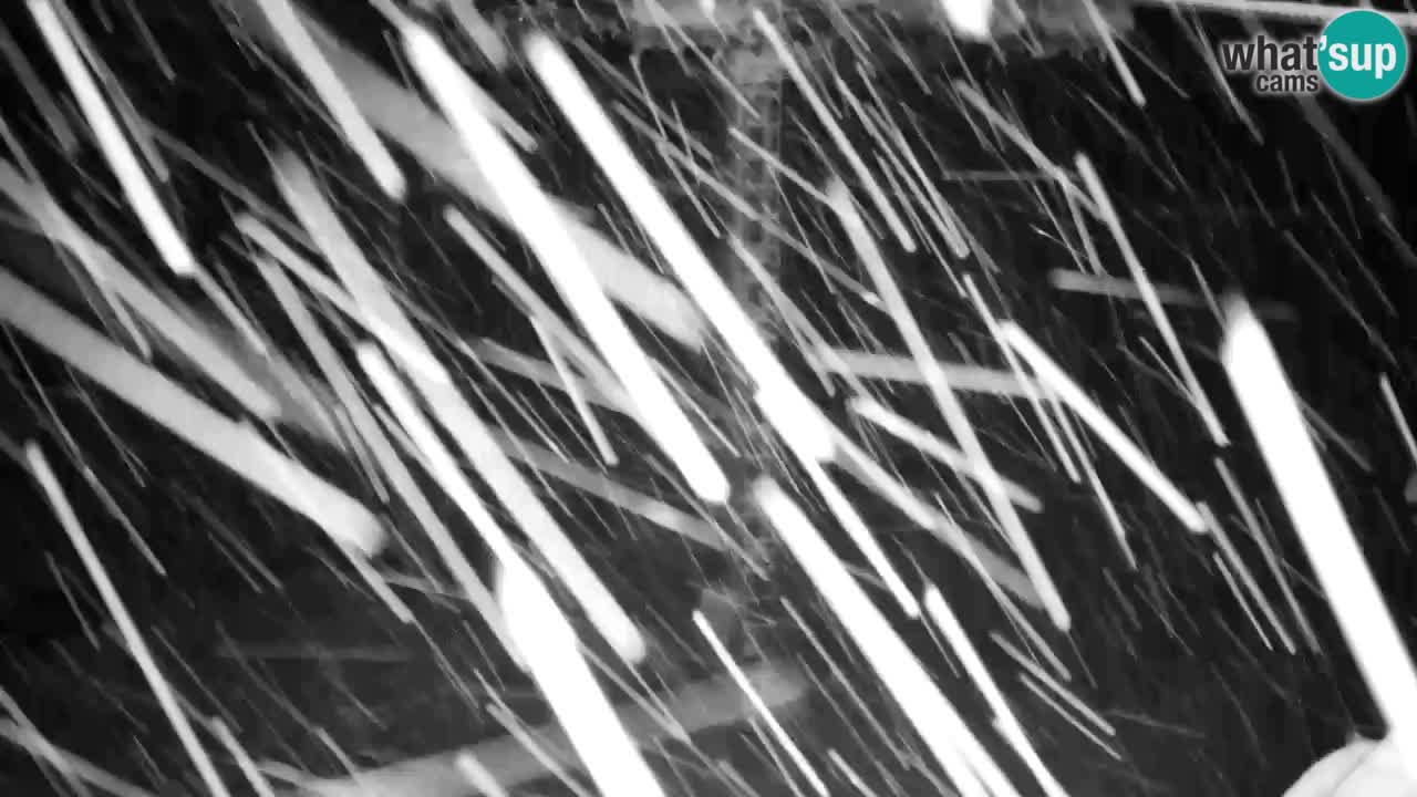 Webcam Kranjska Gora VITRANC 2 | Station supérieure