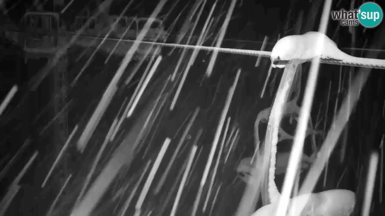 Web kamera Kranjska Gora VITRANC 2 | gornja postaja