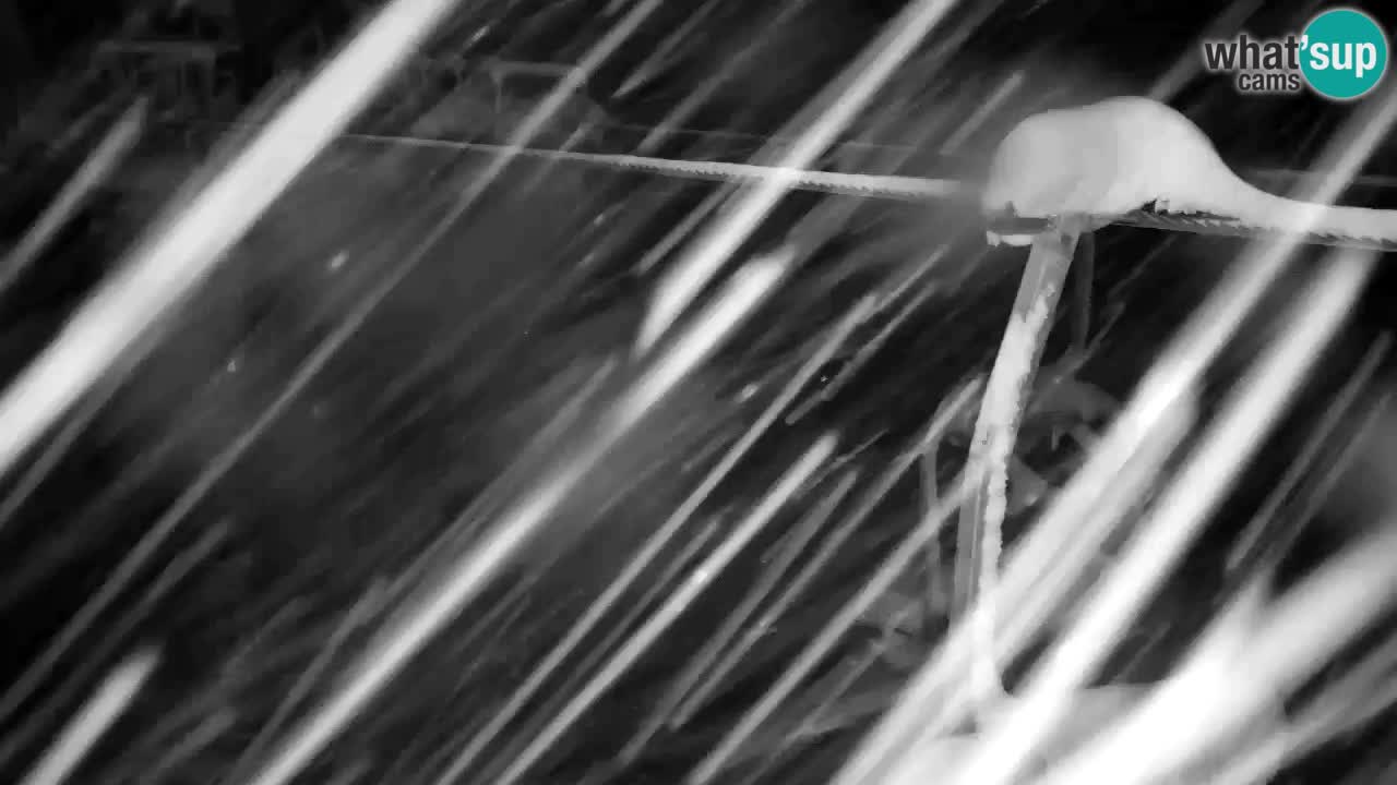 Webcam VITRANC 2 | Kranjska Gora – stazione superiore