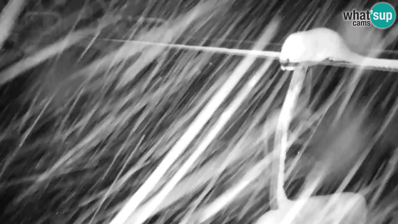 Kranjska Gora webcam VITRANC 2 | Bergstation