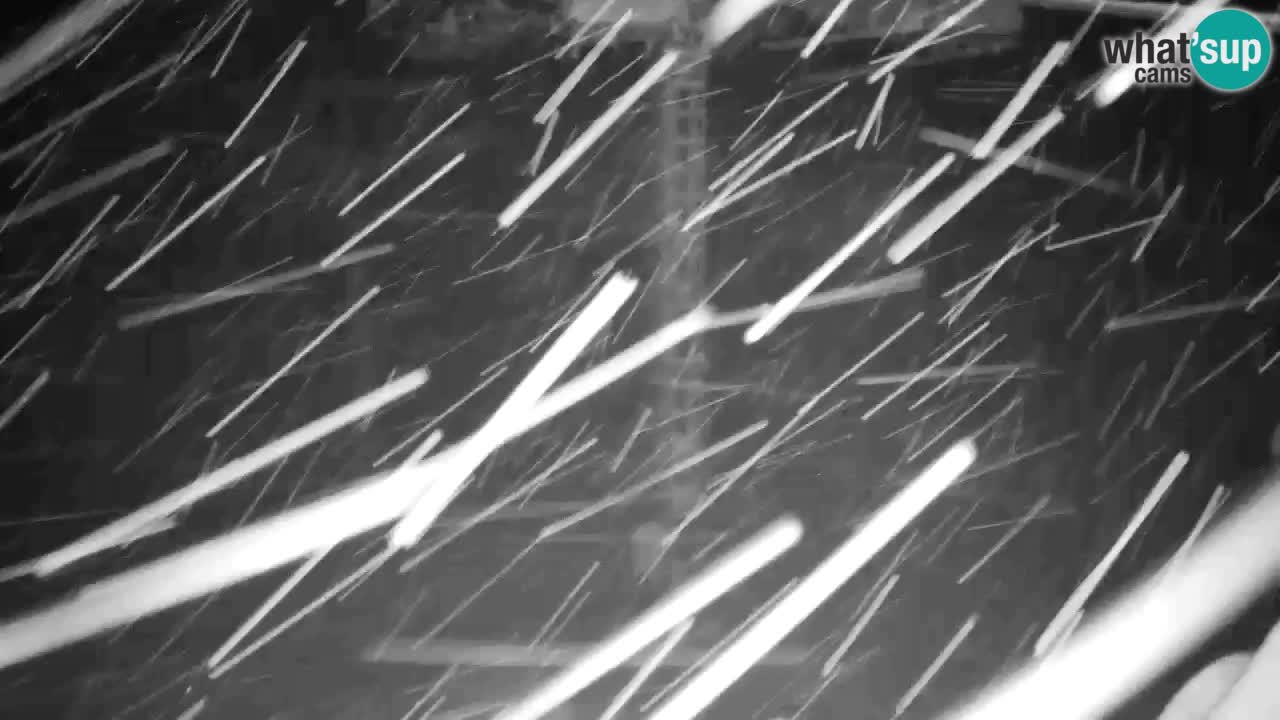 Webcam Kranjska Gora VITRANC 2 | station supérieure