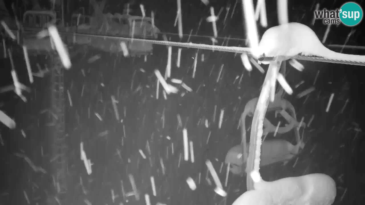 Webcam Kranjska Gora VITRANC 2 | station supérieure