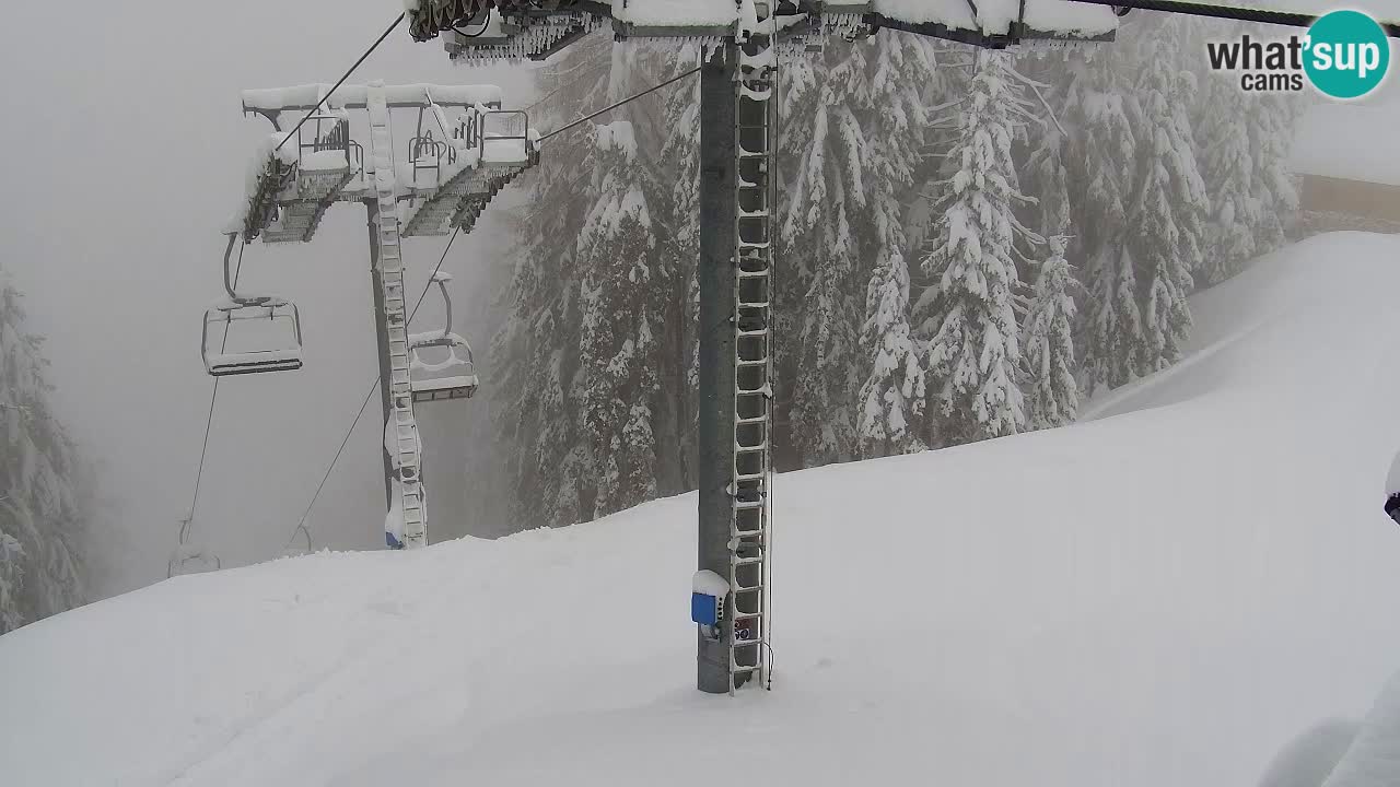Webcam VITRANC 2 | Kranjska Gora – stazione superiore